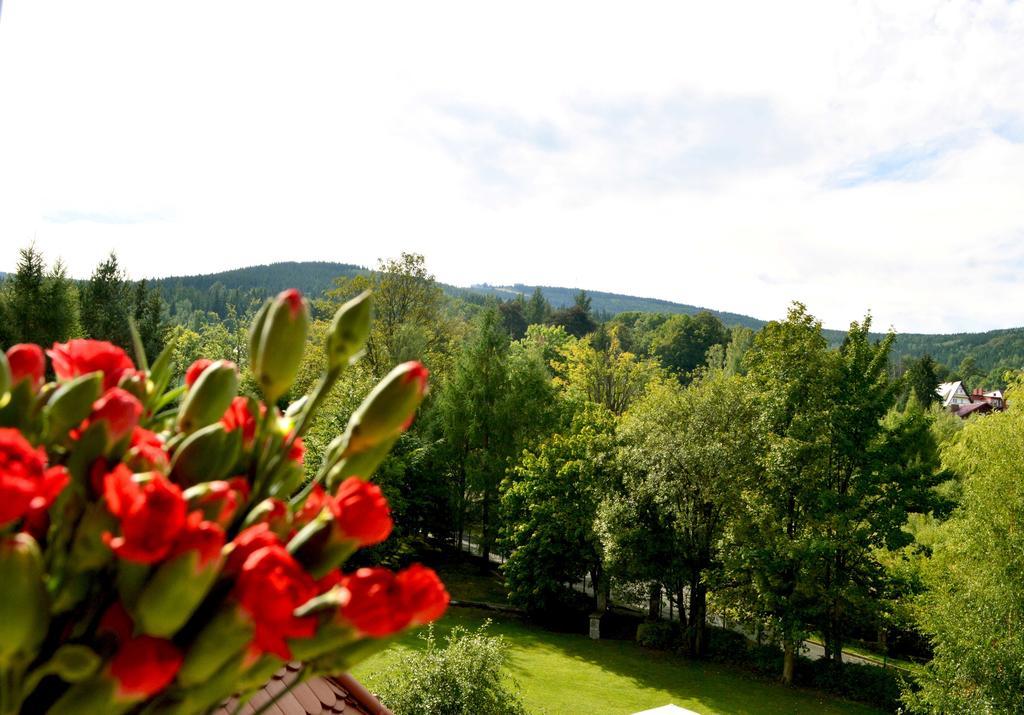 Villa Vital Świeradów-Zdrój Værelse billede